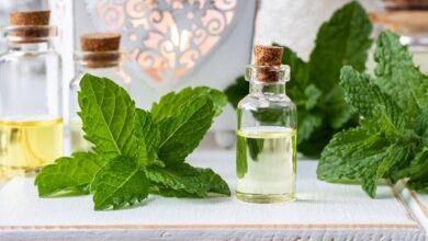 L'huile de menthe poivrée fait son entrée dans l'univers des compléments alimentaires : ses principaux usages santé