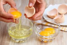 Pourquoi la couleur du jaune d'œuf varie-t-elle ? La réponse se trouve dans l'alimentation de la poule