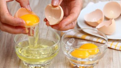 Pourquoi la couleur du jaune d'œuf varie-t-elle ? La réponse se trouve dans l'alimentation de la poule