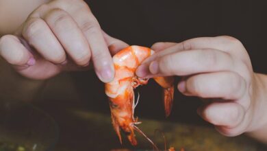 Que se passe-t-il dans votre organisme lorsque vous mangez des crevettes crues ?