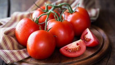 Quel est le lien entre la consommation de tomates et la graisse du foie ?