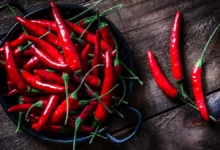 Une consommation excessive de piments forts pourrait augmenter le risque de développer ce cancer