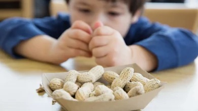 Allergie à l’arachide chez l’enfant : de nouvelles pistes pour comprendre la tolérance immunitaire