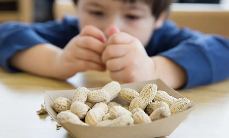 Allergie à l’arachide chez l’enfant : de nouvelles pistes pour comprendre la tolérance immunitaire