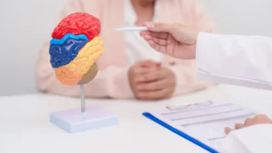 Démence : pourquoi la santé des vaisseaux sanguins est essentielle au cerveau