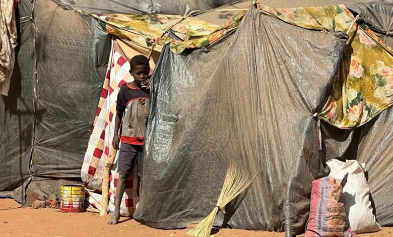 Derrière les murs obscurs : famine imposée, négligence médicale et effondrement du discours moral dans les centres de détention de l’armée soudanaise à Al-Jazira