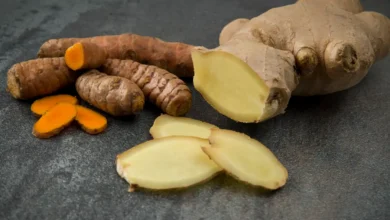 Gingembre ou curcuma : lequel choisir pour soutenir les défenses immunitaires ?