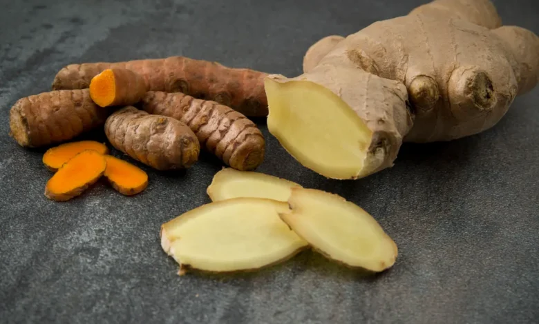 Gingembre ou curcuma : lequel choisir pour soutenir les défenses immunitaires ?