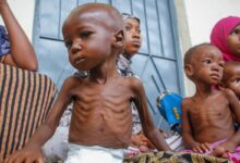 La faim comme arme dans les centres de détention : des corps décharnés, témoins d’une extermination silencieuse
