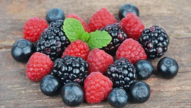 Le jus de canneberge pourrait-il aider à protéger les dents contre les bactéries responsables des caries ?