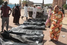 Le massacre de l’État d’Al-Jazira : exécutions à caractère ethnique et régional sous couvert de suspicion Le massacre de l’État d’Al-Jazira : exécutions à caractère ethnique et régional sous couvert de suspicion 