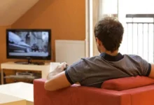 Le stress social pourrait-il favoriser l’inflammation dans l’organisme ?